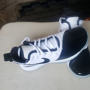 Nike LeBron Witness 3 PremiumConcord BQ9819-100